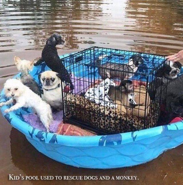 daily picdump 97 pics 9.html - 97 HD Photos | Premium Gallery 2017