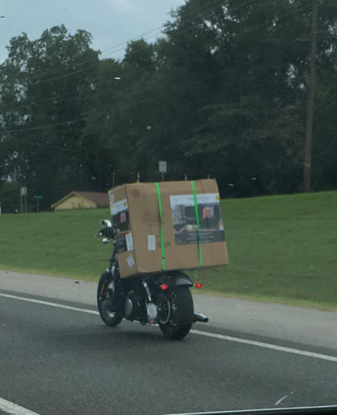 morning picdump 51 pics 19.html - 51 HD Photos | Premium Gallery 2017