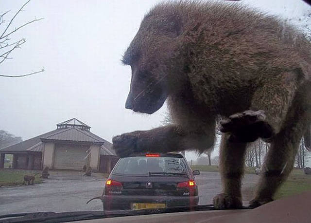 morning picdump 51 pics 19.html - 51 HD Photos | Premium Gallery 2017