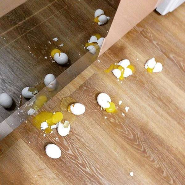 daily picdump 102 pics 48.html - 102 HD Photos | Premium Gallery 2017