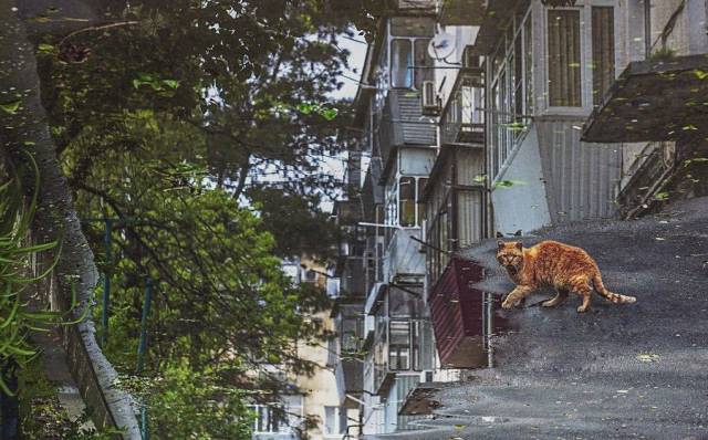 daily picdump 102 pics 48.html - 102 HD Photos | Premium Gallery 2017