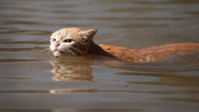 daily picdump 102 pics 48.html - 102 HD Photos | Premium Gallery 2017