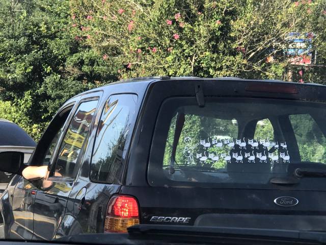 daily picdump 102 pics 48.html - 102 HD Photos | Premium Gallery 2017