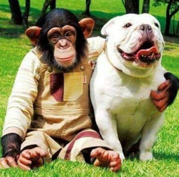 daily picdump 102 pics 48.html - 102 HD Photos | Premium Gallery 2017