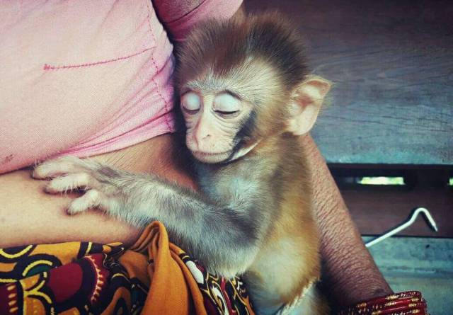 daily picdump 102 pics 48.html - 102 HD Photos | Premium Gallery 2017