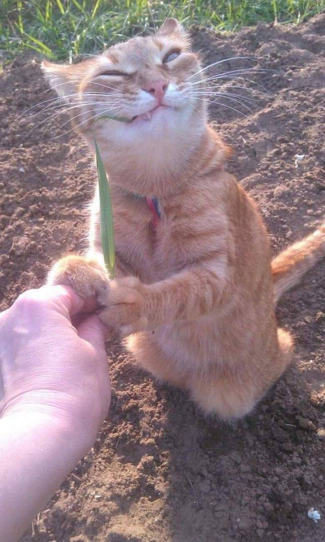 daily picdump 102 pics 48.html - 102 HD Photos | Premium Gallery 2017