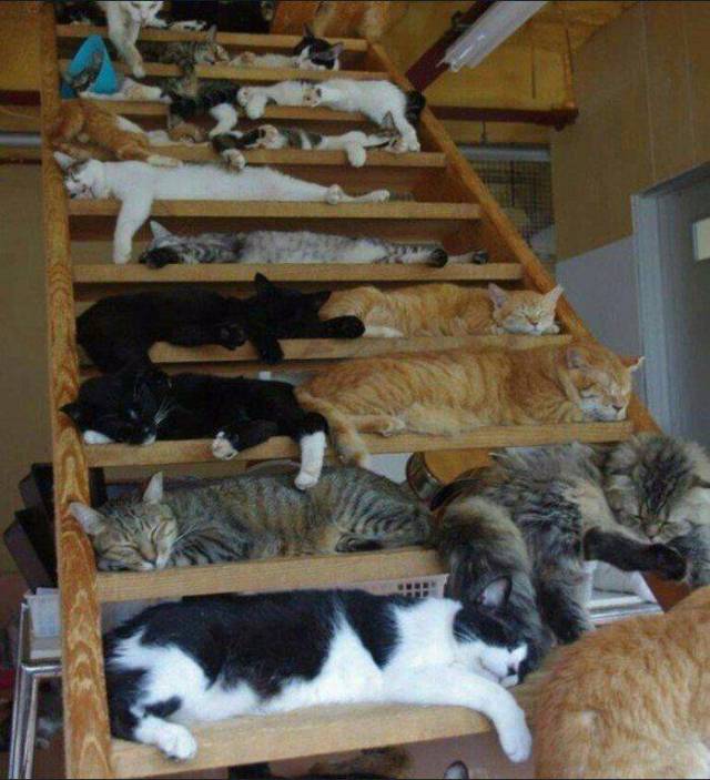 daily picdump 102 pics 48.html - 102 HD Photos | Premium Gallery 2017