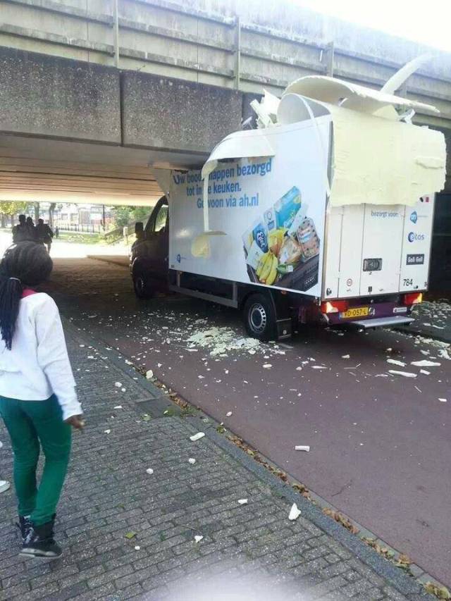 daily picdump 102 pics 48.html - 102 HD Photos | Premium Gallery 2017