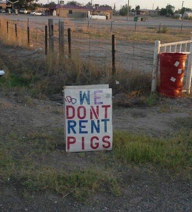 daily picdump 102 pics 48.html - 102 HD Photos | Premium Gallery 2017