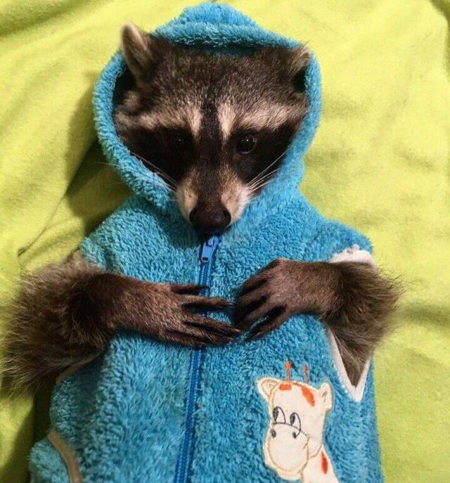 daily picdump 102 pics 48.html - 102 HD Photos | Premium Gallery 2017