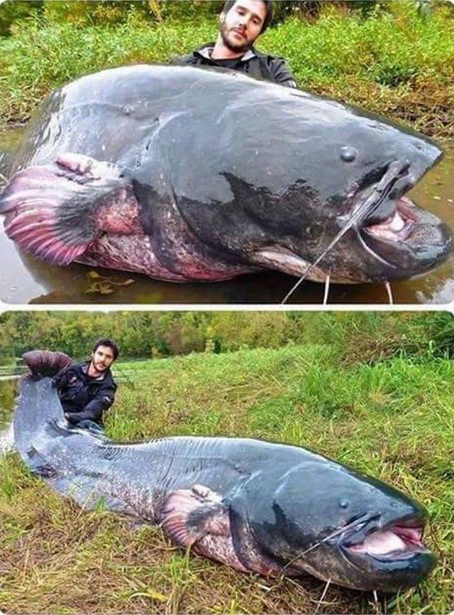 daily picdump 102 pics 48.html - 102 HD Photos | Premium Gallery 2017