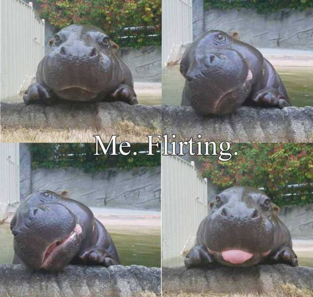 daily picdump 102 pics 48.html - 102 HD Photos | Premium Gallery 2017