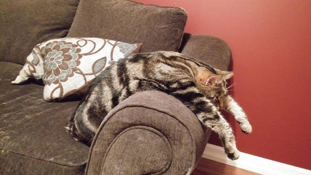 morning picdump 50 pics 17.html - 50 HD Photos | Premium Gallery 2017