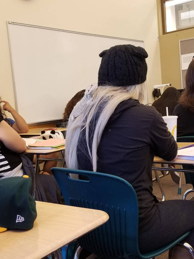 morning picdump 50 pics 17.html - 50 HD Photos | Premium Gallery 2017