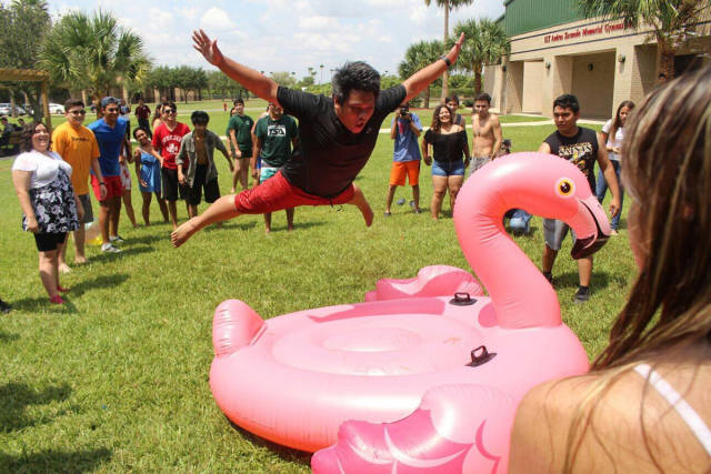 Daily Picdump [WEEKEND EDITION]