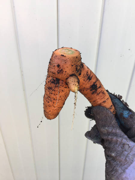 daily picdump weekend edition 55 pics 1.html - 55 HD Photos | Premium Gallery 2017