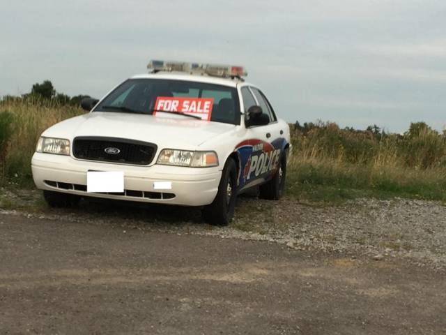 daily picdump weekend edition 55 pics 1.html - 55 HD Photos | Premium Gallery 2017