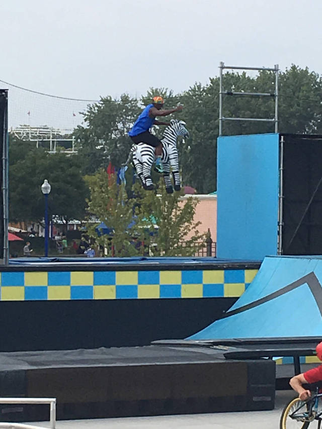 daily picdump weekend edition 55 pics 1.html - 55 HD Photos | Premium Gallery 2017