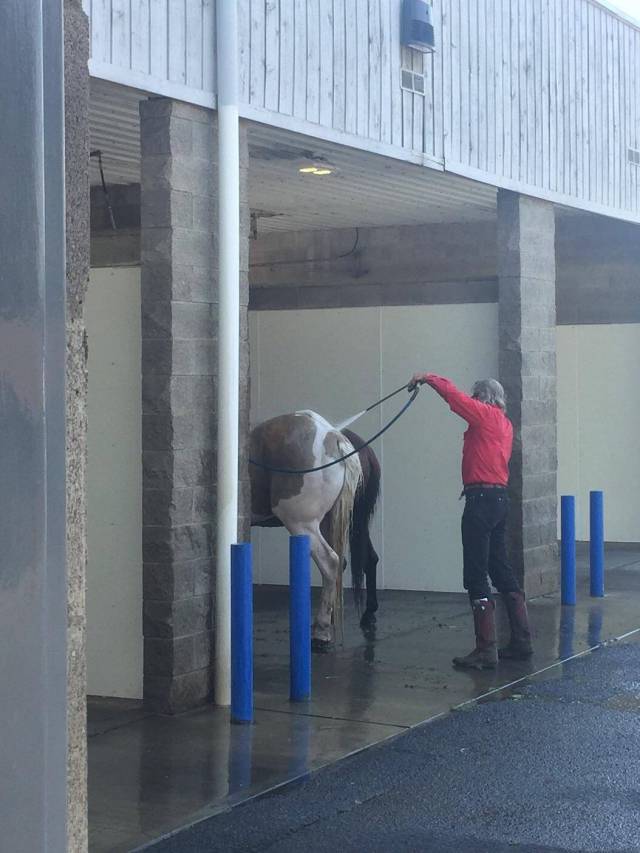 daily picdump weekend edition 55 pics 1.html - 55 HD Photos | Premium Gallery 2017