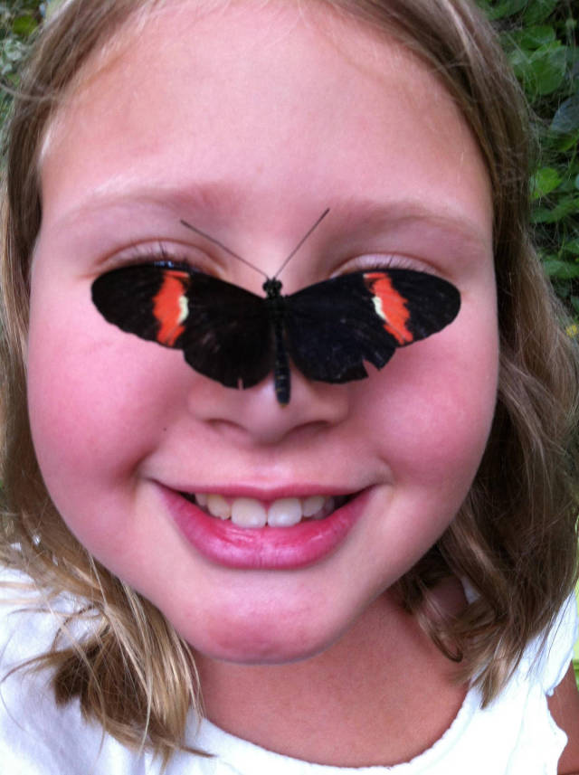 daily picdump weekend edition 55 pics 1.html - 55 HD Photos | Premium Gallery 2017