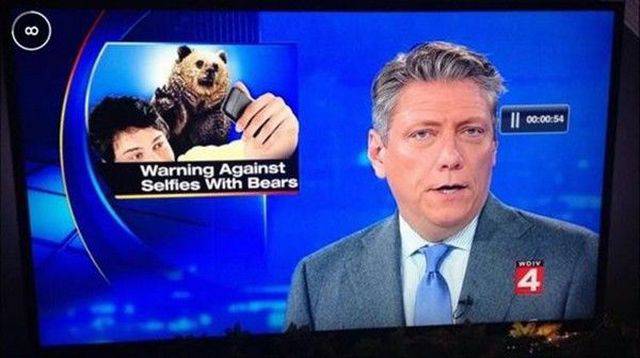 Daily Picdump