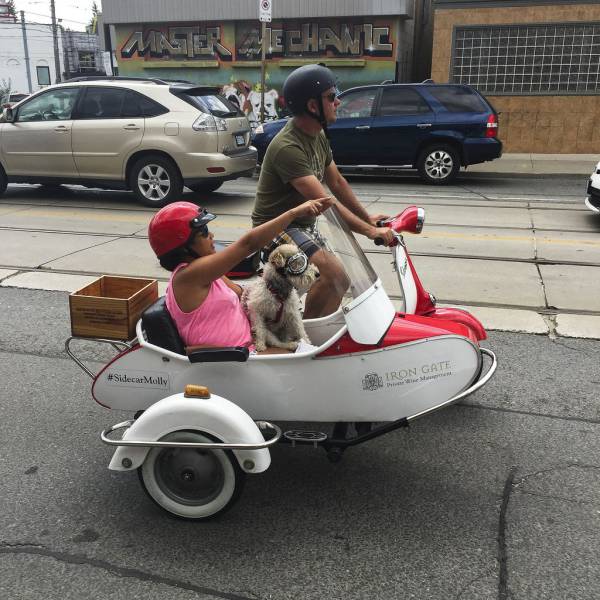 Daily Picdump