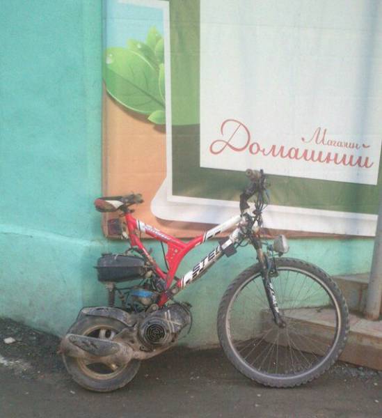Morning Picdump