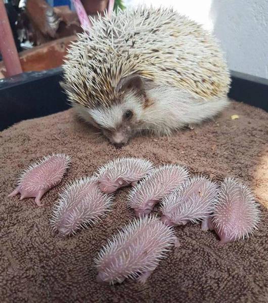 morning picdump 52 pics 16.html - 52 HD Photos | Premium Gallery 2017