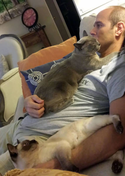 No One Can Hate Cats Forever!