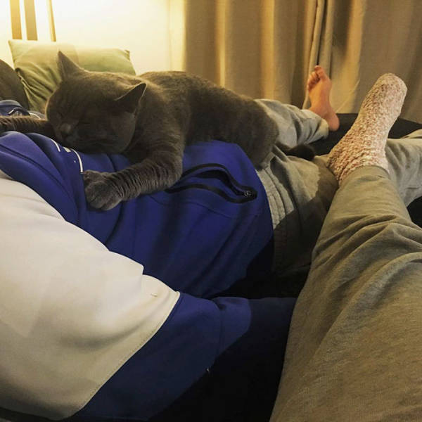 No One Can Hate Cats Forever!