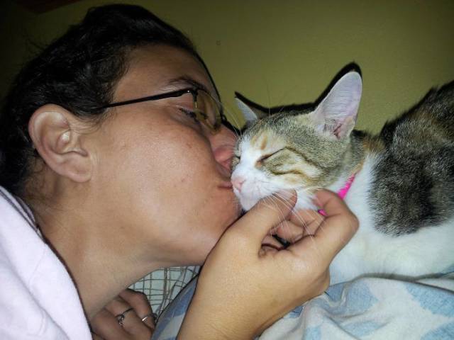 No One Can Hate Cats Forever!