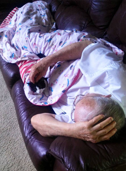 No One Can Hate Cats Forever!