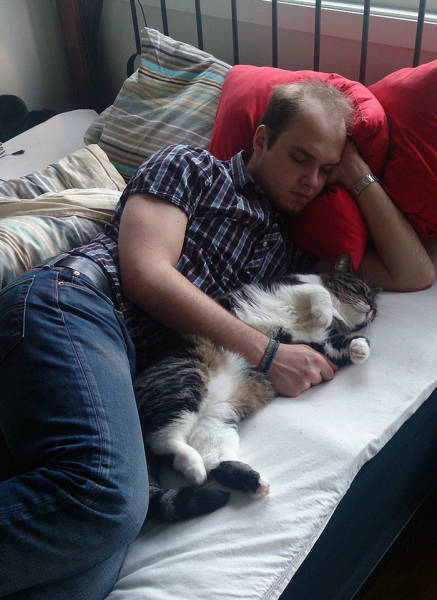 No One Can Hate Cats Forever!