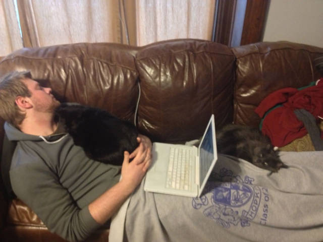 No One Can Hate Cats Forever!