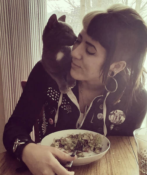 No One Can Hate Cats Forever!