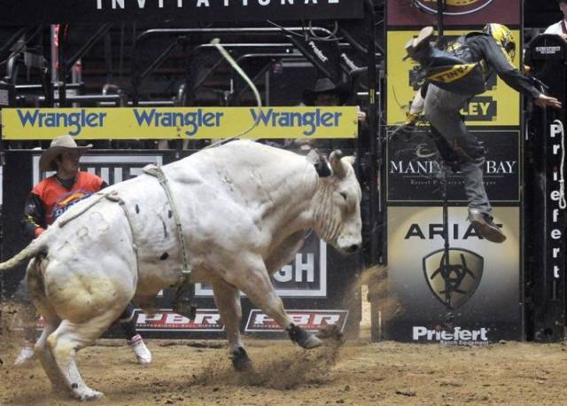 daily picdump 95 pics 5.html - 95 HD Photos | Premium Gallery 2017