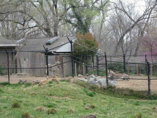 daily picdump 95 pics 5.html - 95 HD Photos | Premium Gallery 2017