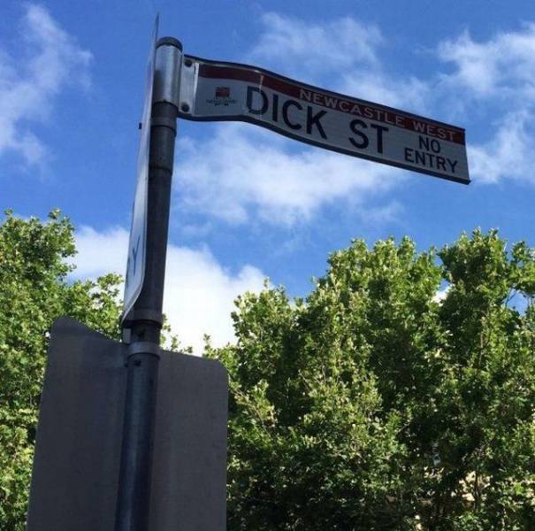 daily picdump 95 pics 5.html - 95 HD Photos | Premium Gallery 2017