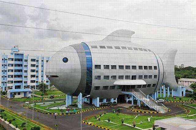 daily picdump 95 pics 5.html - 95 HD Photos | Premium Gallery 2017