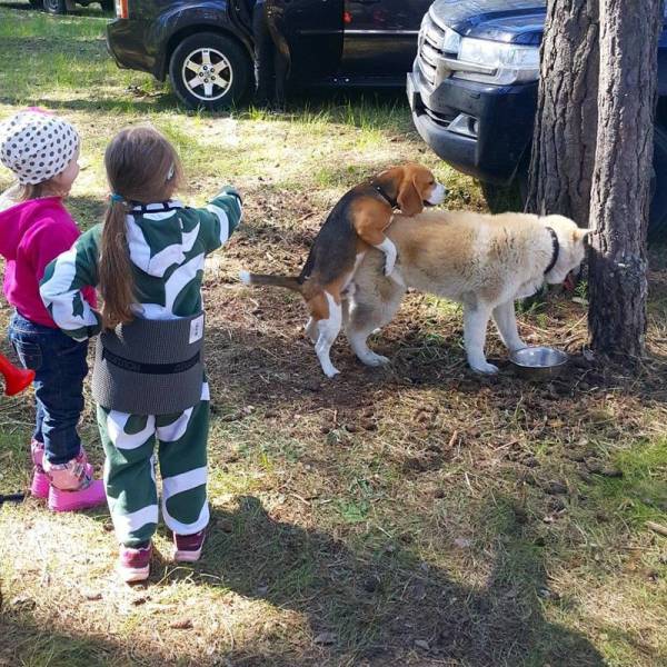 daily picdump 95 pics 5.html - 95 HD Photos | Premium Gallery 2017