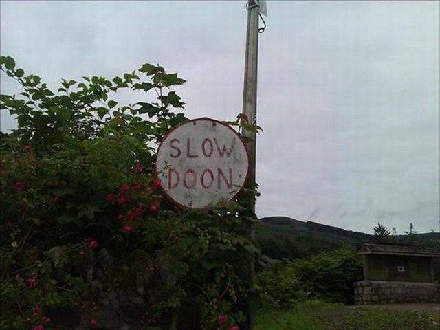 daily picdump 95 pics 5.html - 95 HD Photos | Premium Gallery 2017