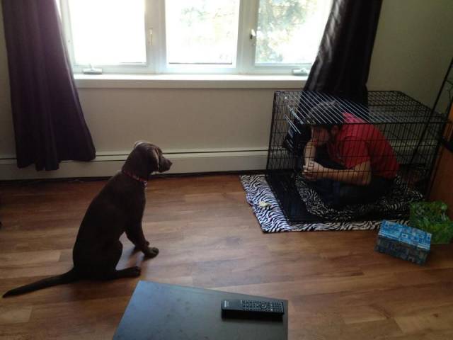 daily picdump 95 pics 5.html - 95 HD Photos | Premium Gallery 2017