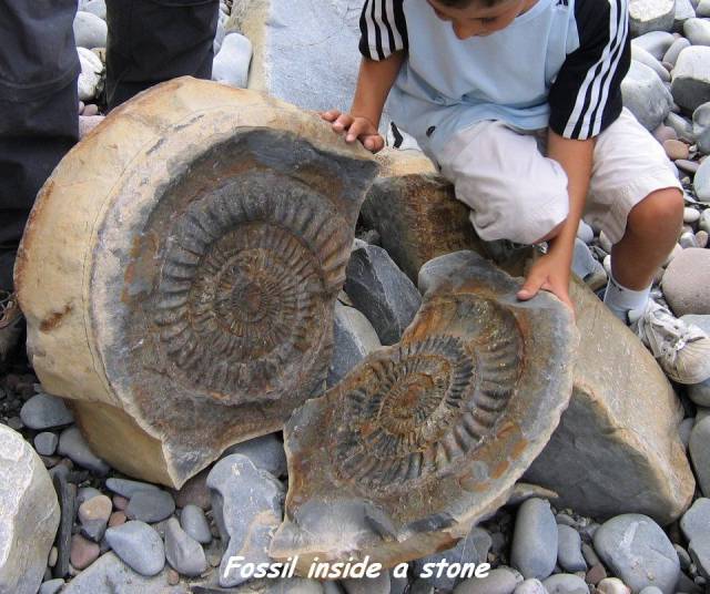 daily picdump 95 pics 5.html - 95 HD Photos | Premium Gallery 2017