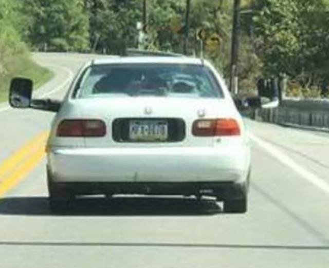 Morning Picdump