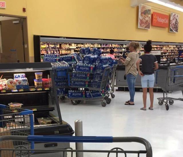 Morning Picdump