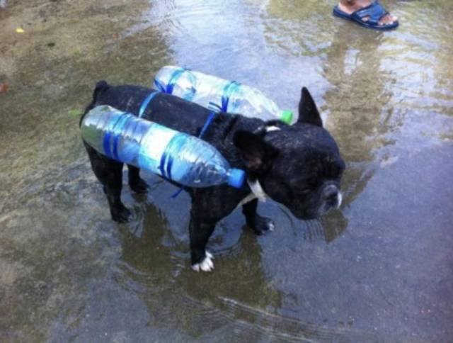 morning picdump 51 pics 12.html - 51 HD Photos | Premium Gallery 2017