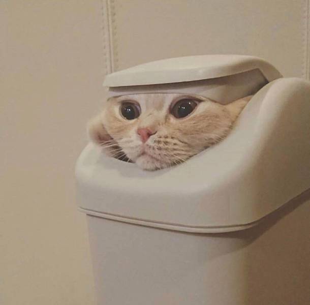 morning picdump 51 pics 12.html - 51 HD Photos | Premium Gallery 2017