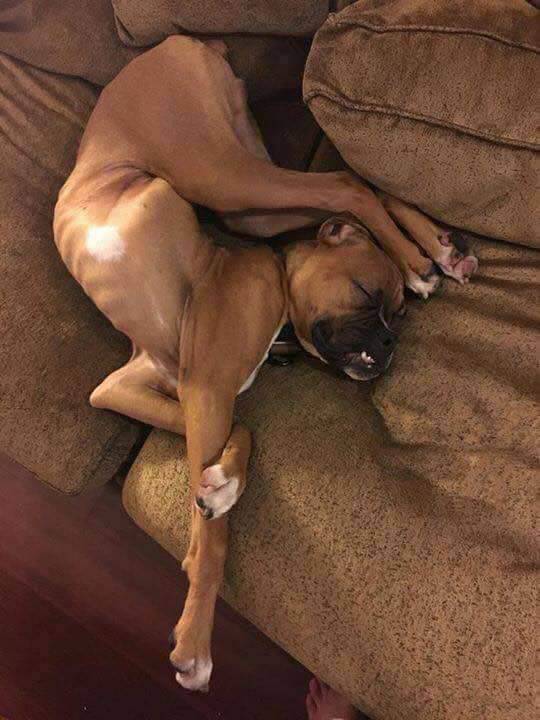 Morning Picdump
