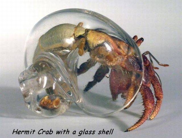 daily picdump 95 pics 12.html - 95 HD Photos | Premium Gallery 2017