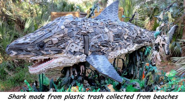 daily picdump 95 pics 12.html - 95 HD Photos | Premium Gallery 2017